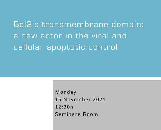 Bcl2's transmembrane domain: a new actor in the viral and cellular apoptotic control